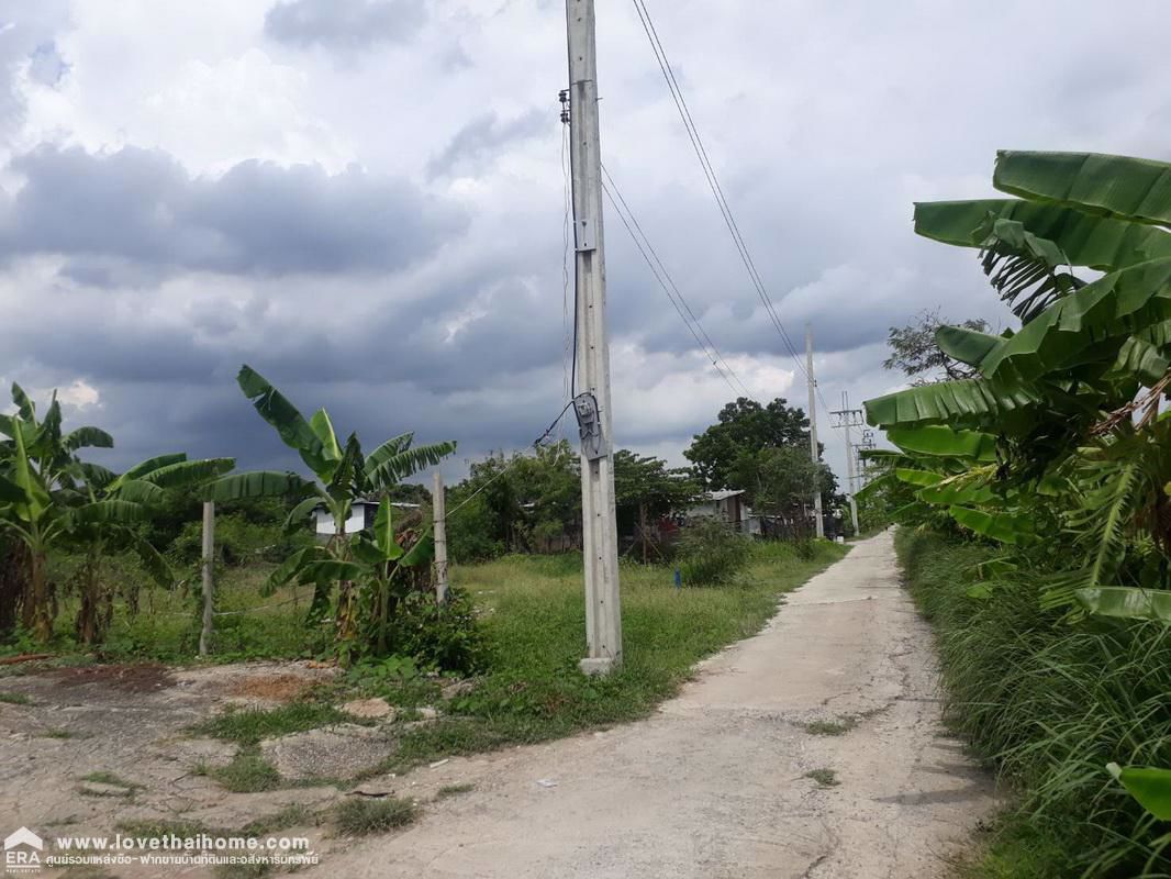 ที่ดินเปล่า-300-ตรว-ถพัฒนาชนบท3-ใกล้ถนนศรีนครินทร์-ร่มเกล้า